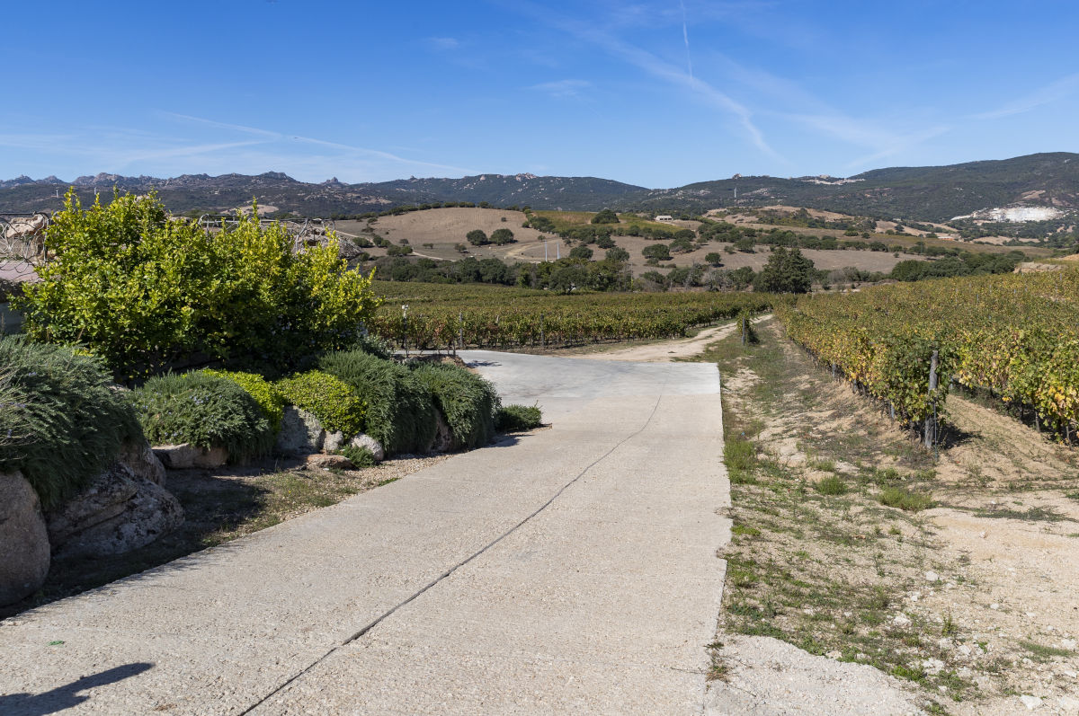 Degustazione A voi la scelta